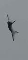 2009-06-28_quonsett_air_show 034_crop